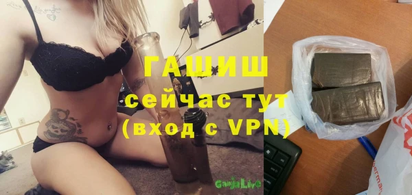стаф Вязьма