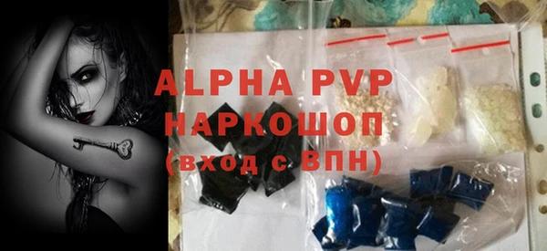 стаф Вязьма
