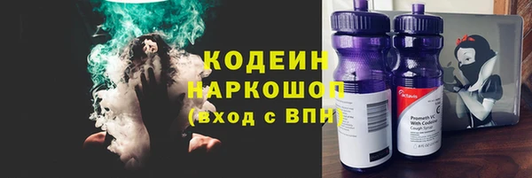 стаф Вязьма
