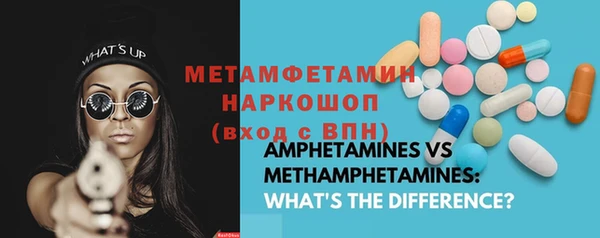 стаф Вязьма