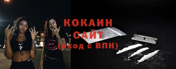 стаф Вязьма