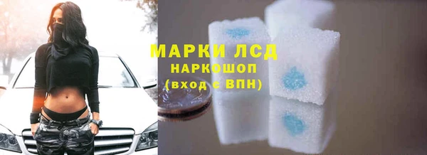 стаф Вязьма