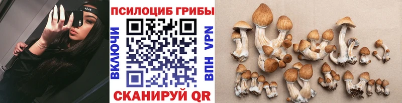 OMG рабочий сайт Елец Псилоцибиновые грибы ЛСД